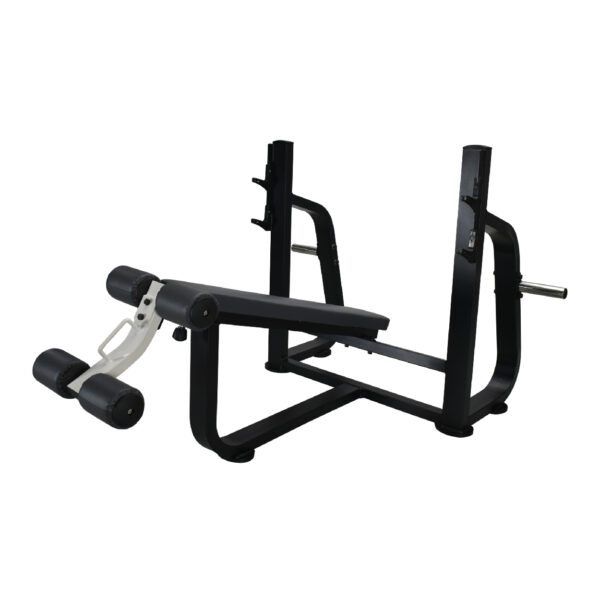 DECLINE BENCH PRESS