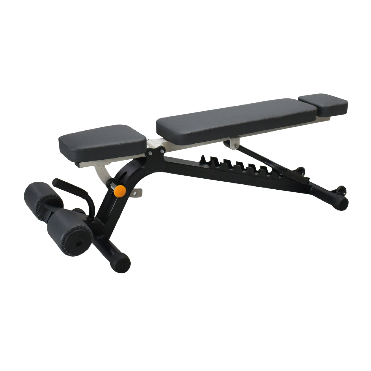 MULTI GYM BENCH