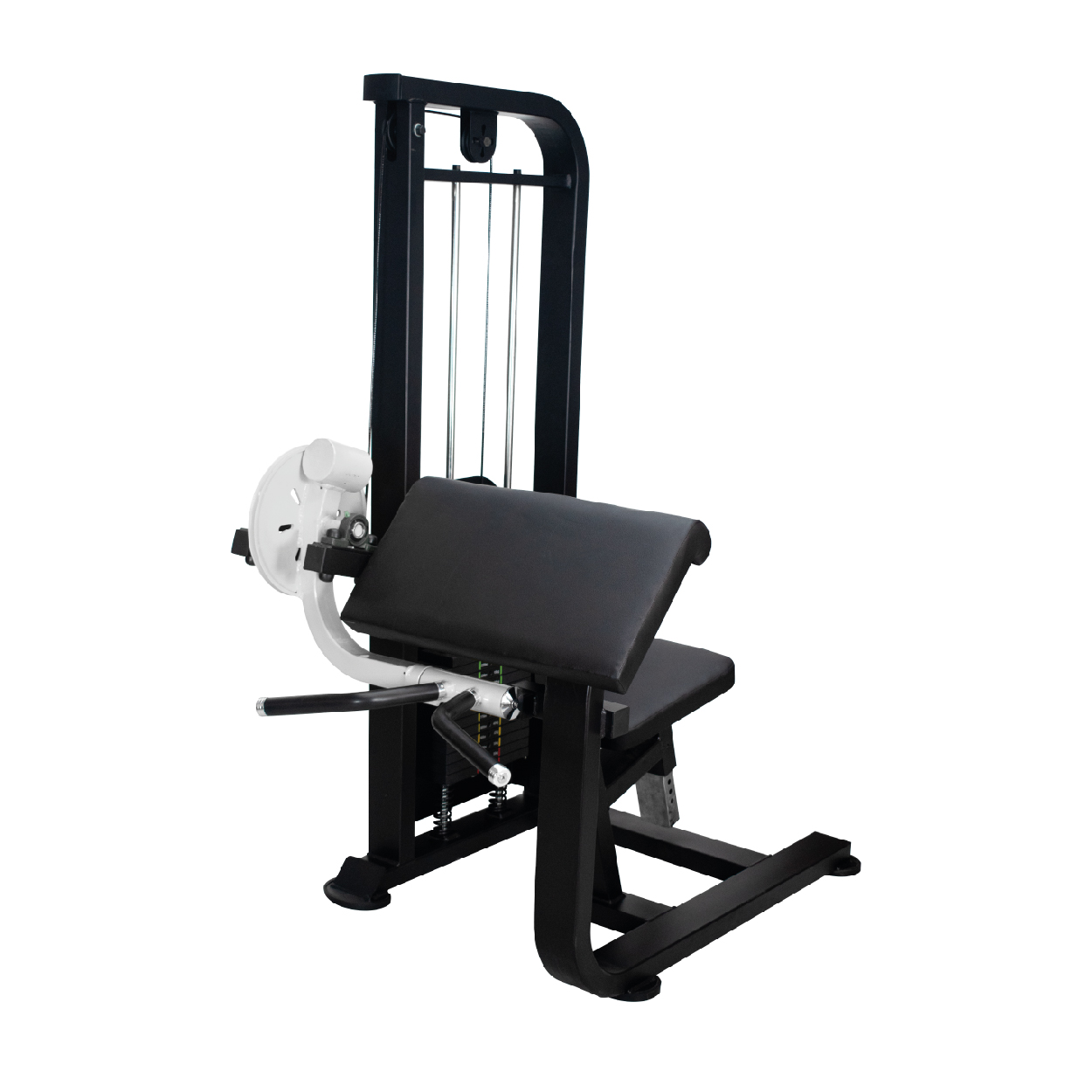 PREACHER CURL