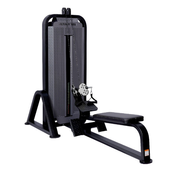 ROWING PULLEY DUAL