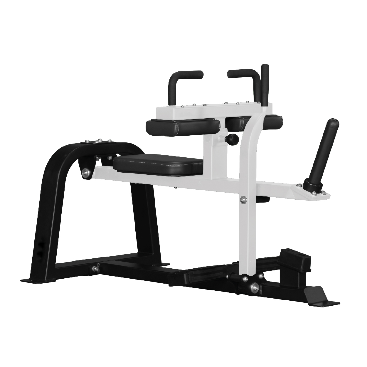 SEATED CALF RISE